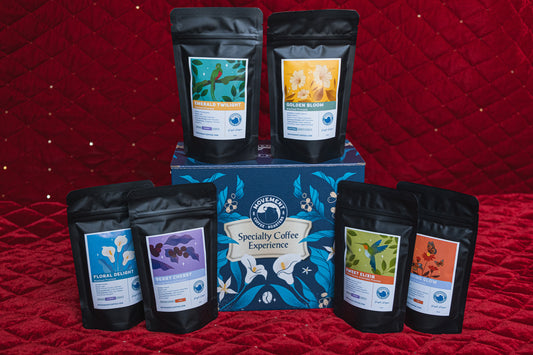 2025 Specialty Coffee Experience Kit