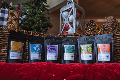 2025 Specialty Coffee Experience Kit