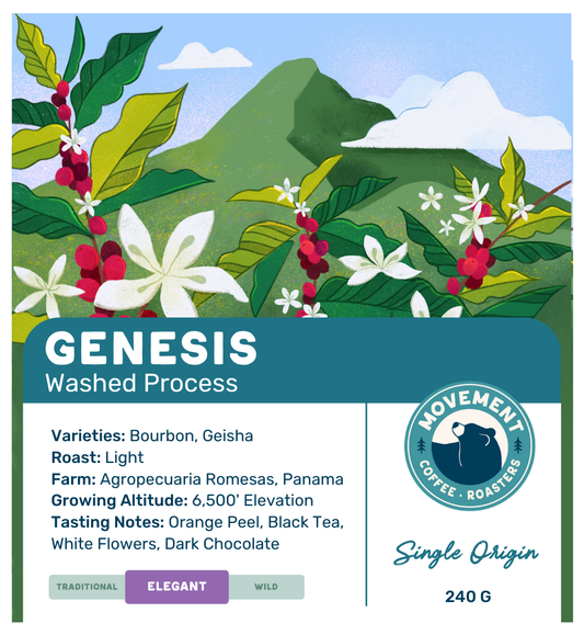 Genesis Coffee Bag
