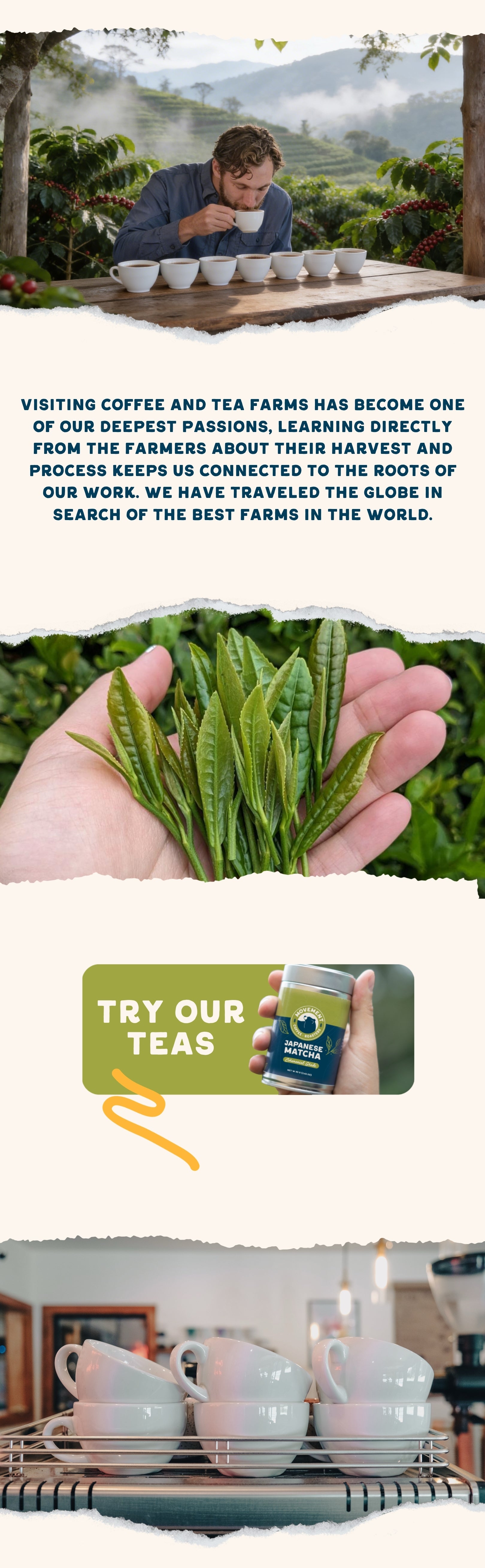 Shop Tea