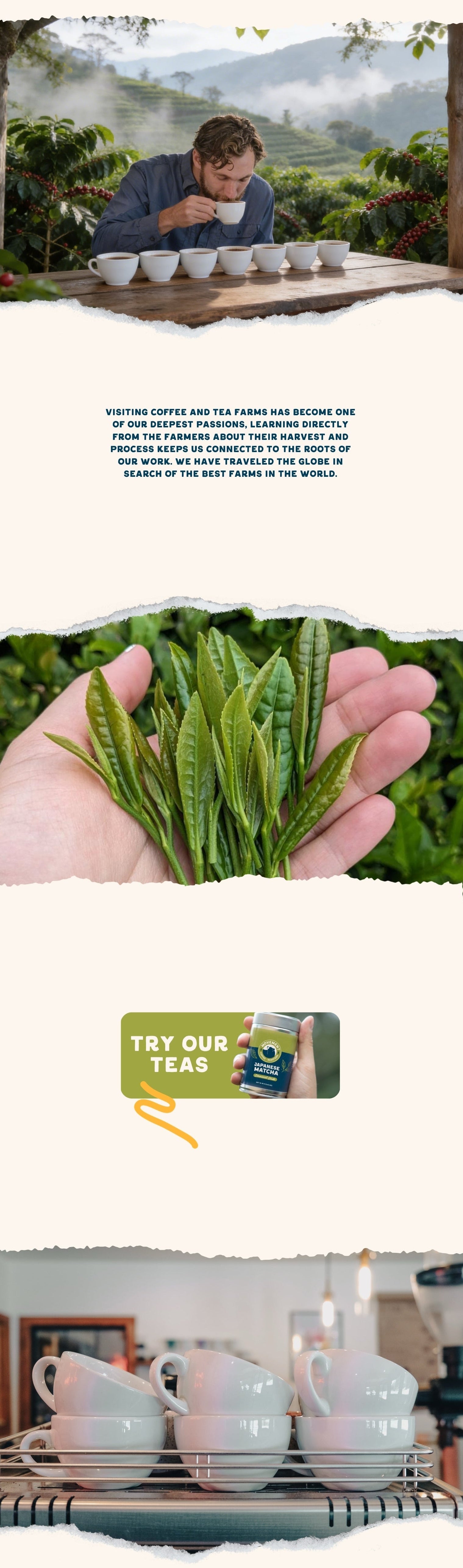 Shop Tea