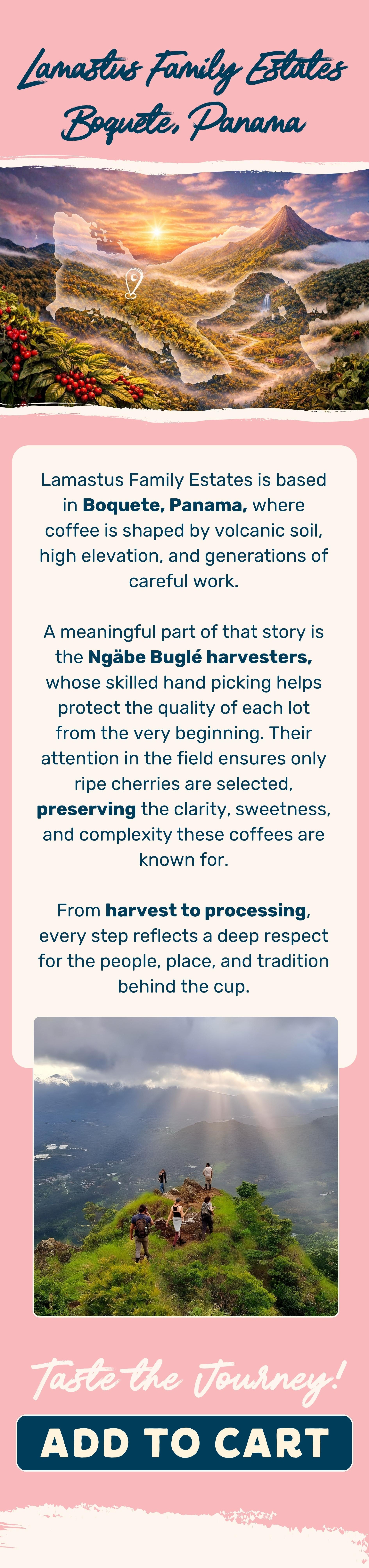 Cherry Dream Coffee