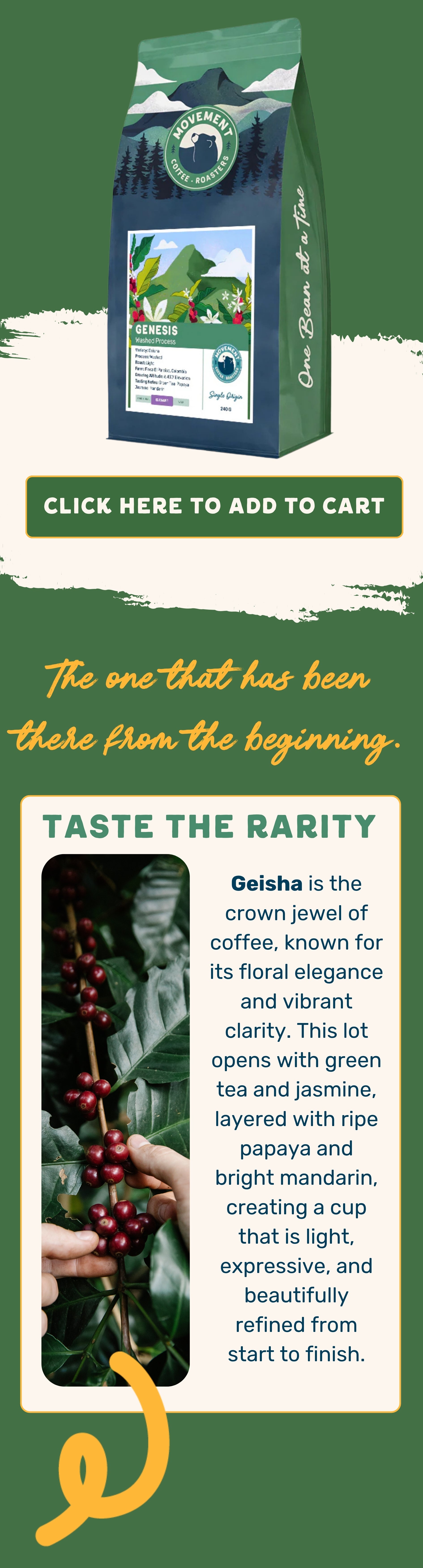 Genesis Coffee
