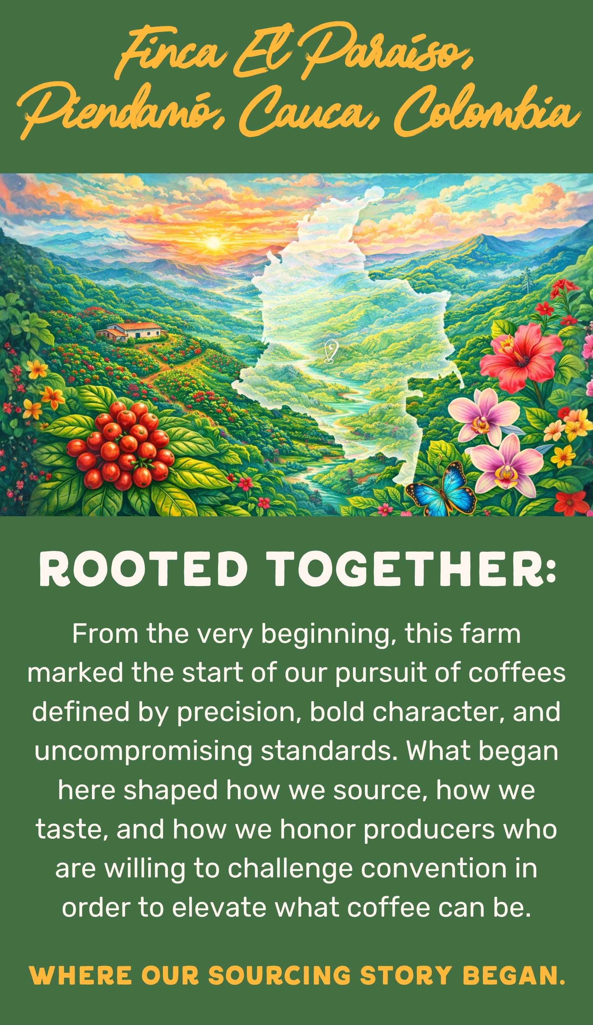 Genesis Coffee
